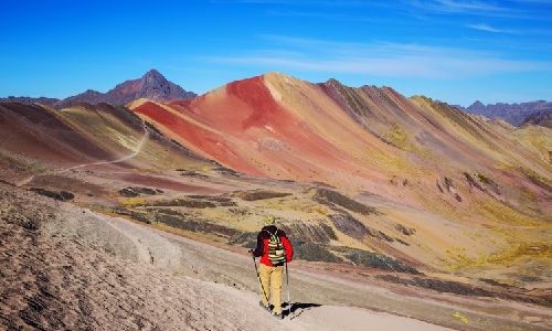 Fauna Montaña Arcoíris